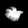 Betta Complete Care Guide